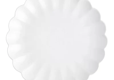 Scallop Rim Speckled Dinnerware Collection White